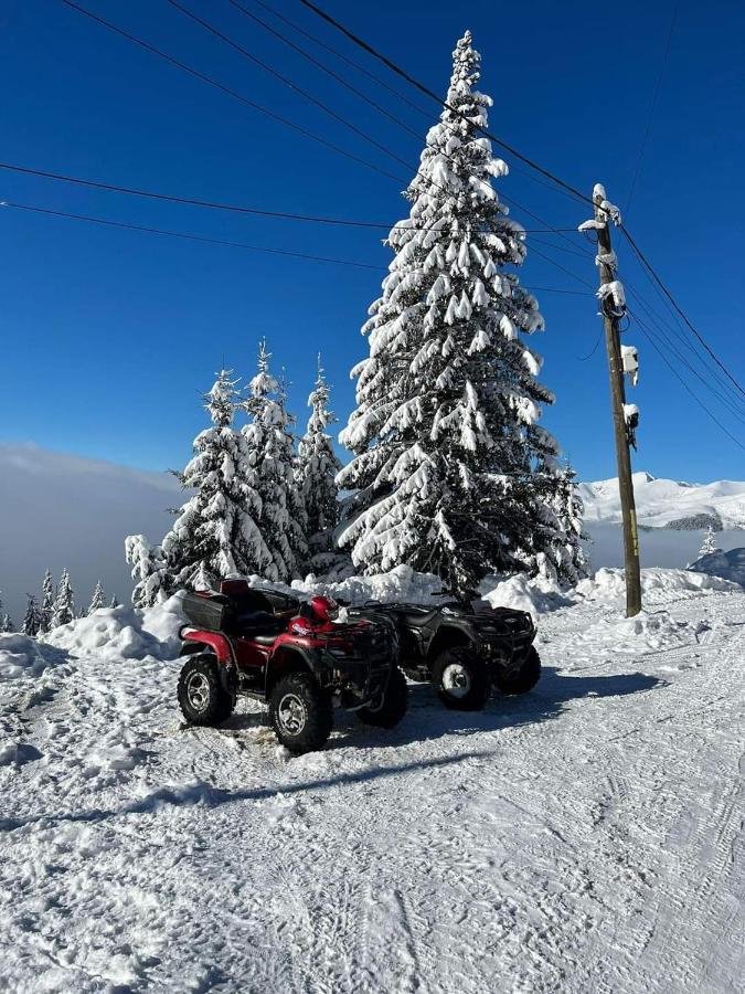 Pensiunea Alpin Ranca Exterior foto