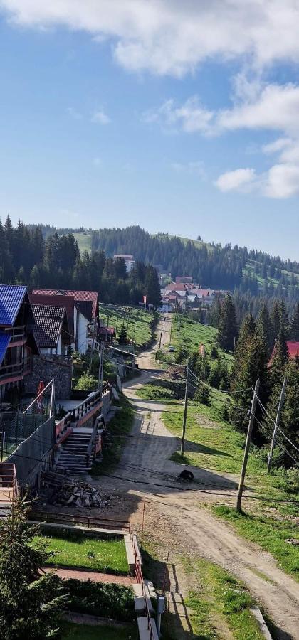 Pensiunea Alpin Ranca Exterior foto