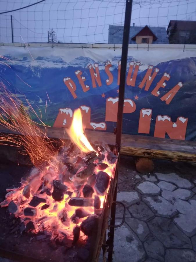 Pensiunea Alpin Ranca Exterior foto