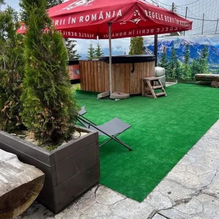 Pensiunea Alpin Ranca Exterior foto